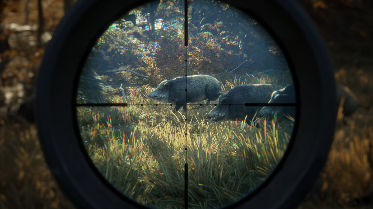 theHunter: Call of the Wild Steam Key - ROW