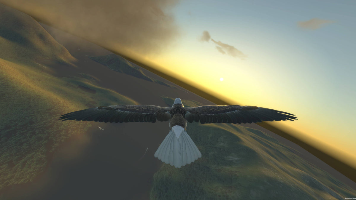Aquila Bird Flight Simulator Steam Key GLOBAL