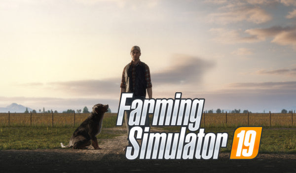 Farming Simulator 19 Steam Key EUROPE