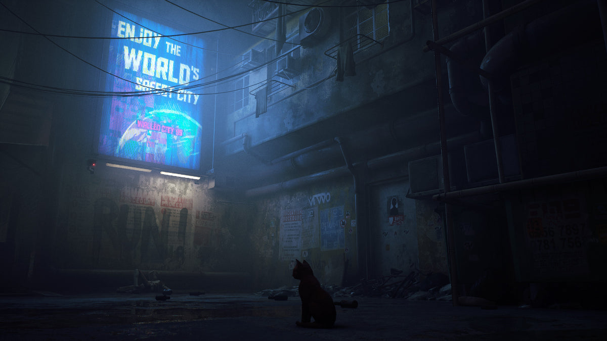 Stray (Xbox Series X/S, Windows 10) - Xbox Live Key - EUROPE