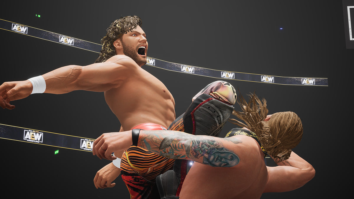 AEW: Fight Forever (PC) - Steam Key - GLOBAL