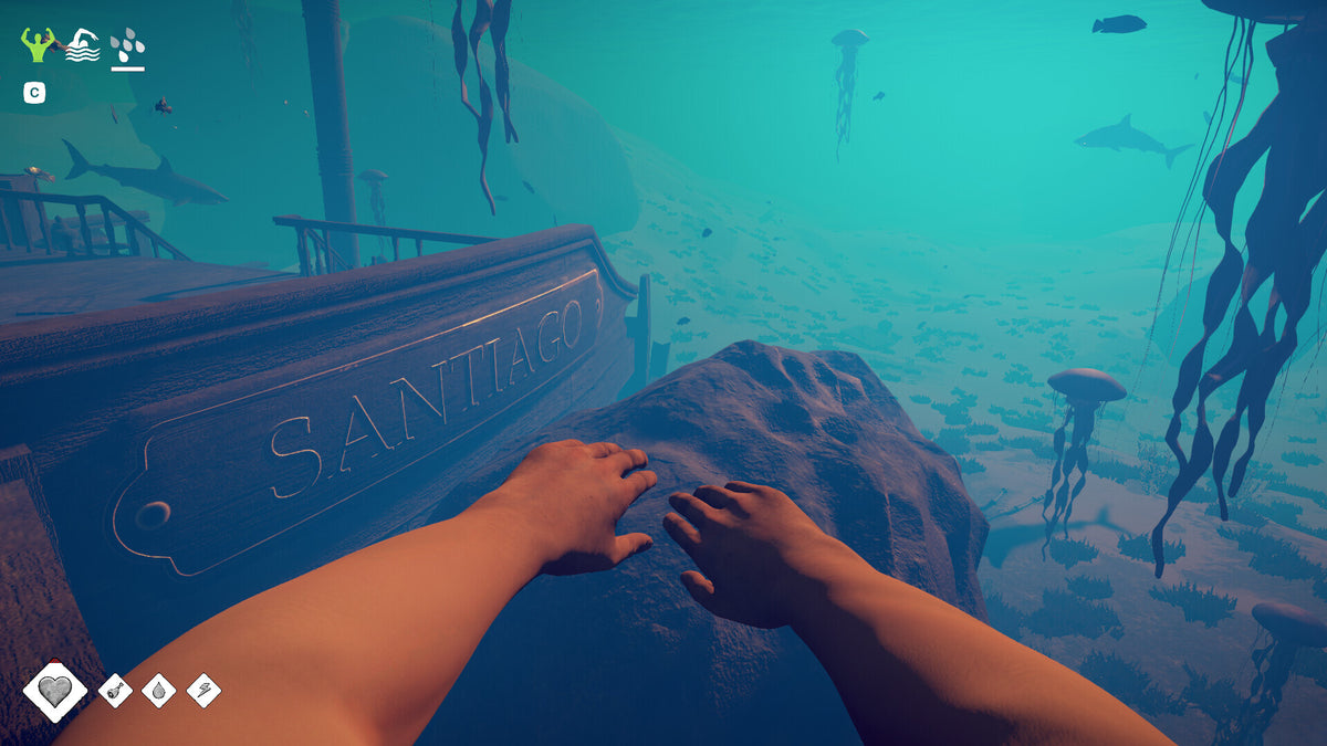Survival: Fountain of Youth | Captain's Edition - Xbox Series X Key  - UNITED STATES