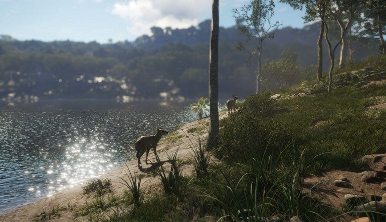 theHunter: Call of the Wild - Emerald Coast Australia (PC) - Steam Key - EUROPE