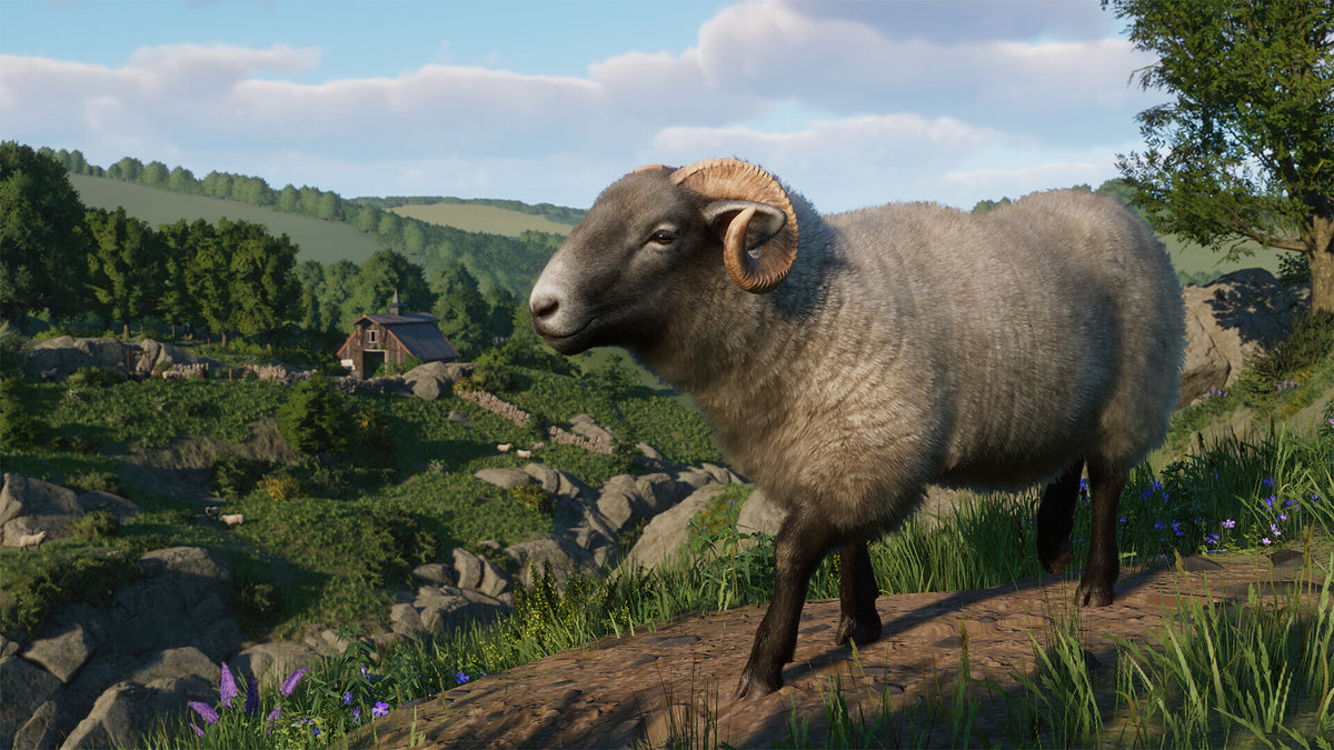 Planet Zoo: Barnyard Animal Pack (PC) - Steam Key - GLOBAL