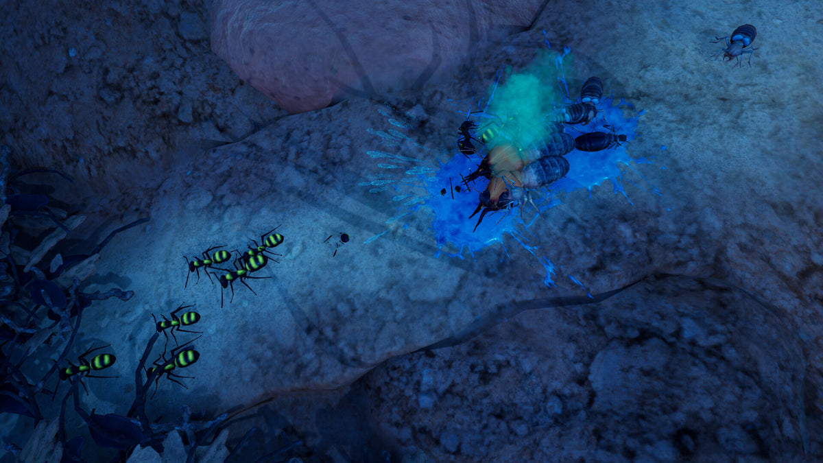 Empires of the Undergrowth - Exploding Ants (PC) - Steam Key  - ROW