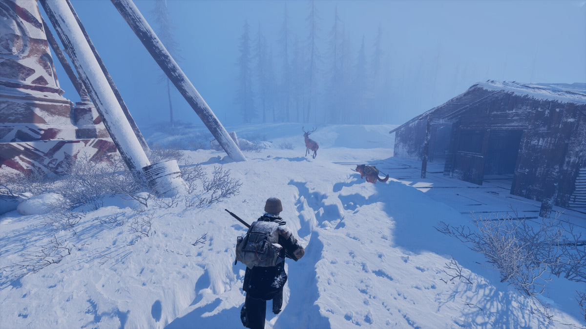 Permafrost (PC) - Steam Key - GLOBAL