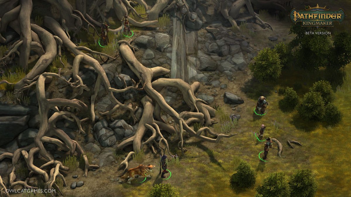 Pathfinder: Kingmaker Explorer Edition Steam Key GLOBAL