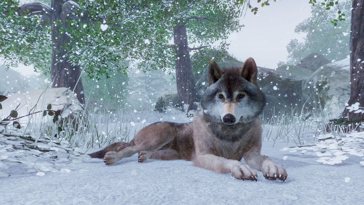 Planet Zoo - Steam - Key EUROPE