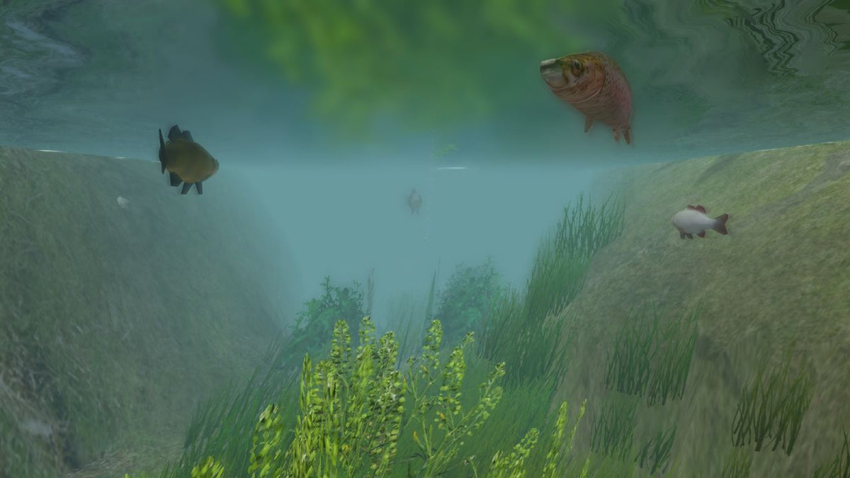 European Fishing Steam Key GLOBAL