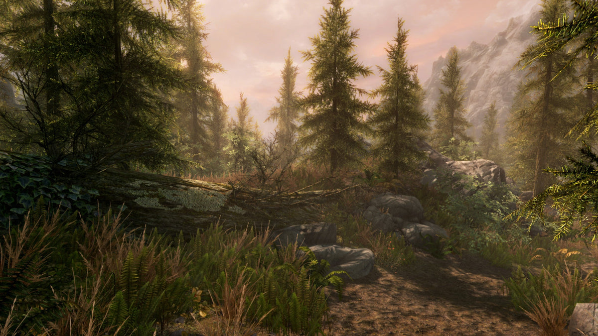 The Elder Scrolls V: Skyrim - Legendary Edition Steam Key EUROPE