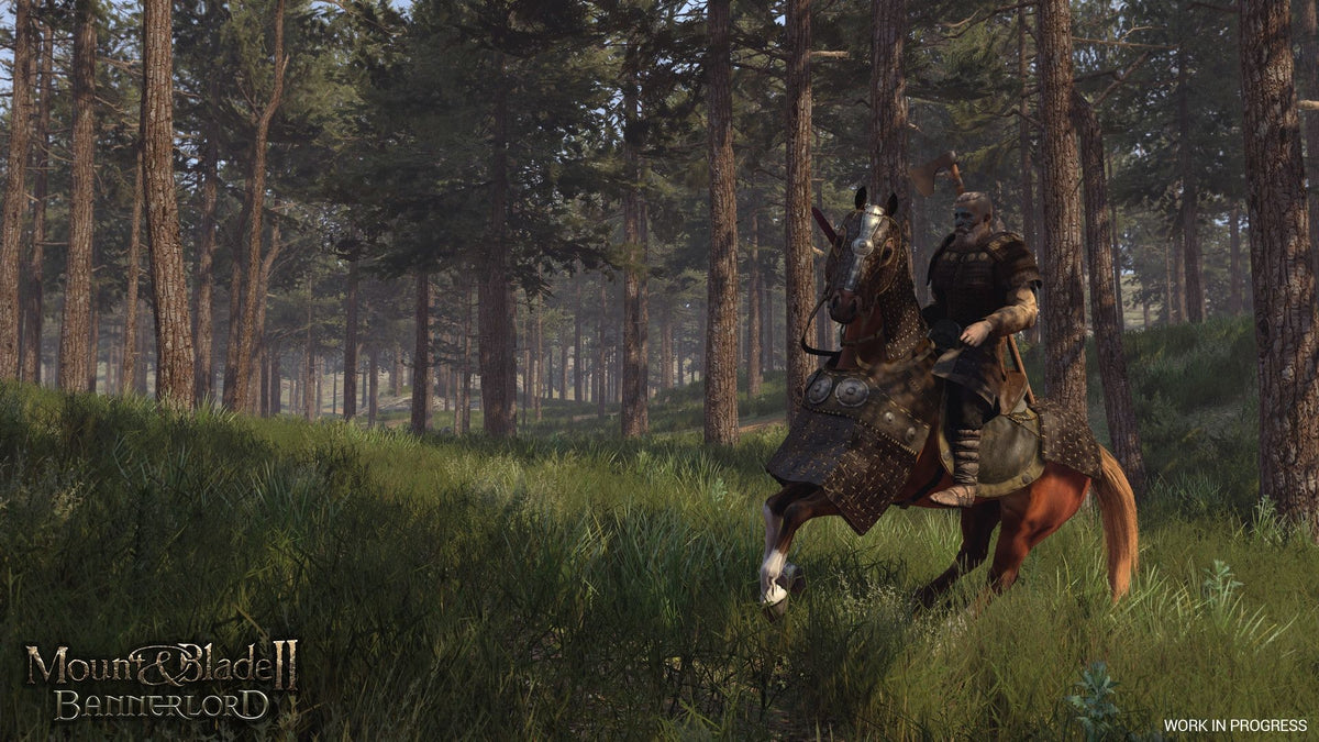 Mount & Blade II: Bannerlord - Steam Key - GLOBAL